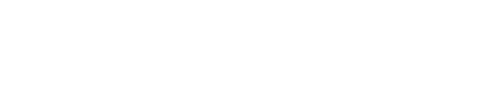 REZYLION 2026